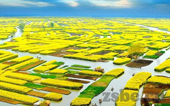 91麻豆精品国产91久久久更新时间-当代社交新风向，91麻豆精品国产91久久久的实时更新探索