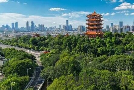 大象传媒app下载最新版-探索大象传媒APP，解锁娱乐新视界