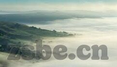 h成人免费视频在线观看-与网络伦理，理性审视与自我保护