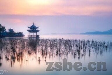 麻豆国产视频-麻豆国产视频，多样性中的文化思考与价值探讨