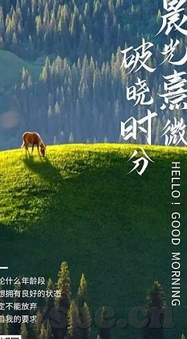 免费麻豆国产黄色av-网络世界的微光与隐忧——对免费麻豆国产视频内容的反思