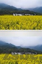 糖心vlog兑换码-糖心Vlog 体验，惊喜不止于眼前的精彩